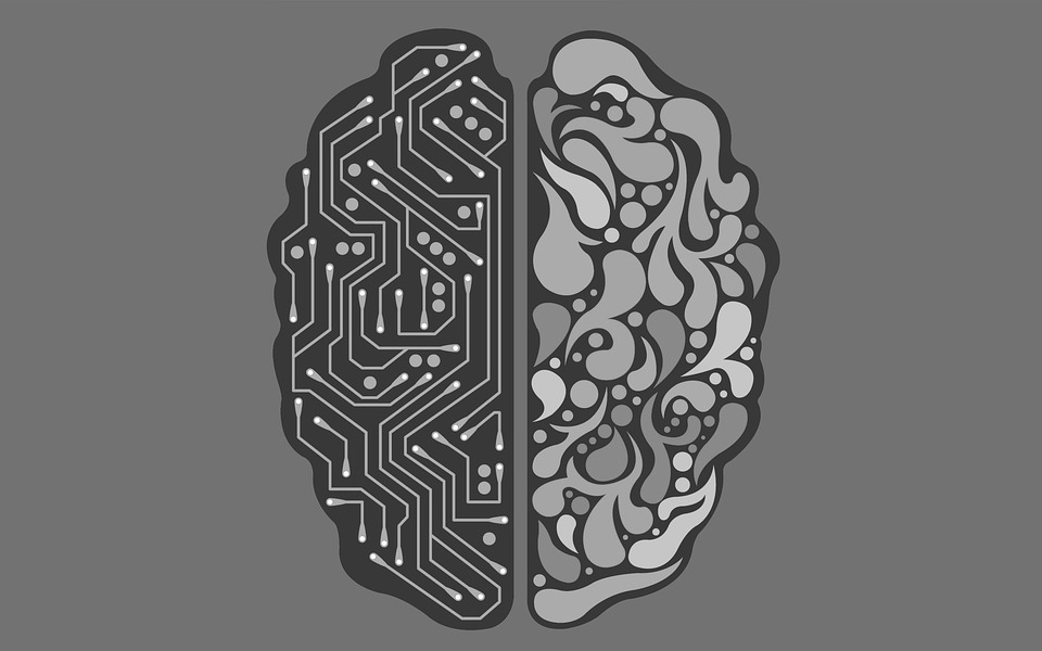 Artificial Intelligence versus Natural Intelligence