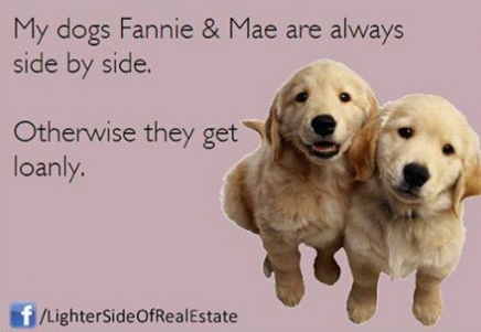 Fannie Mae Freddie Mac Dogs